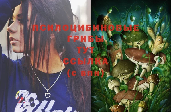 трава Бронницы