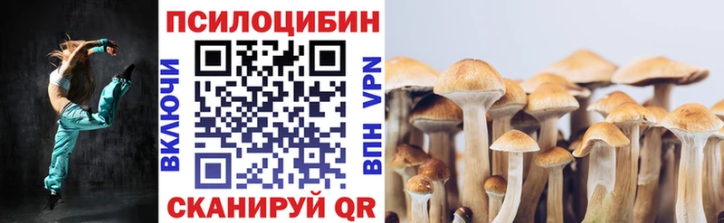 закладка  Кореновск  МЕГА ТОР  Псилоцибиновые грибы GOLDEN TEACHER 